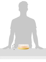 Idli Maker (Big) | 8 Round Idlis | Cook Steam Light and Fluffy Idlis | Idli Pot, Idli Stand
