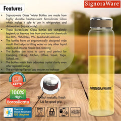 Dapper Borosilicate Glass Bottle 1000ml