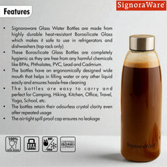 Frostfire Borosilicate Glass Bottle 1000ml