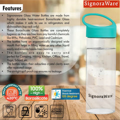 Coral Borosilicate Glass Bottle 1000ml