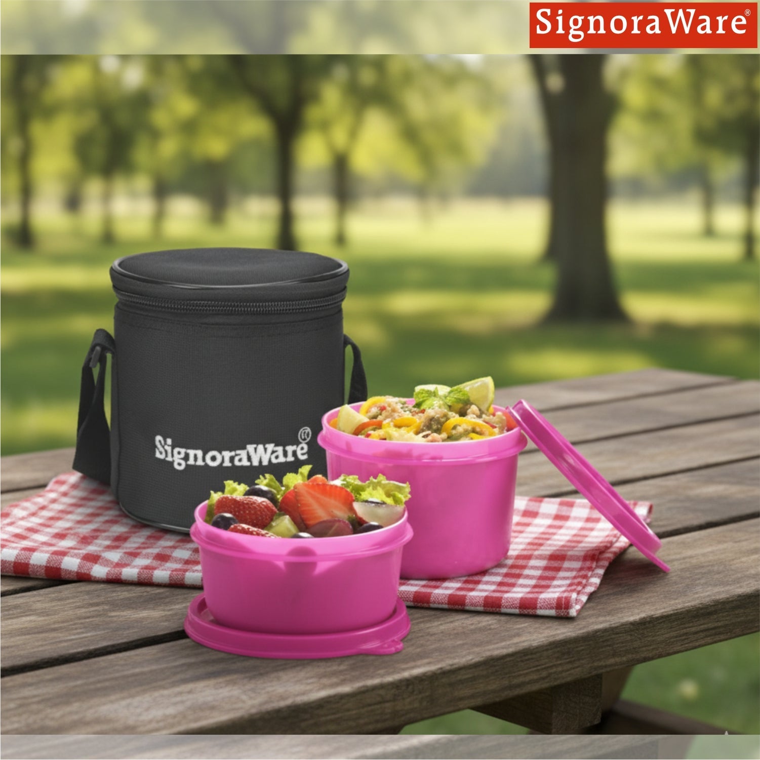 Executive Small Lunch Box (with Bag)