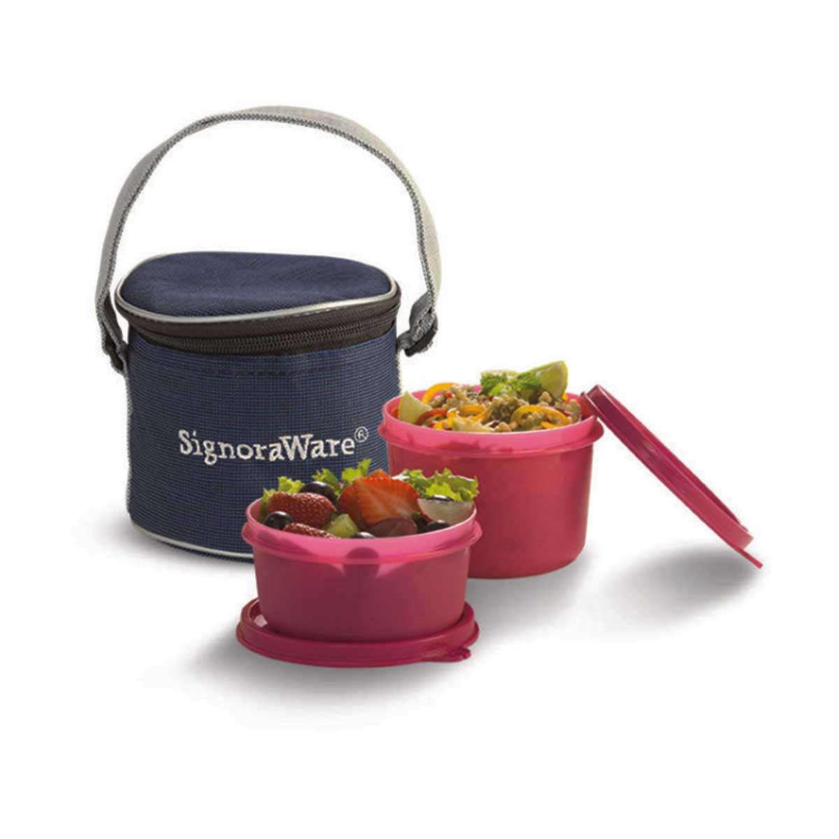 Executive Small Lunch Box (with Bag)