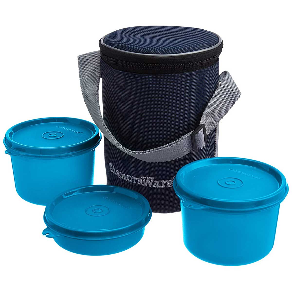 Executive Lunch Box (Medium) With Bag