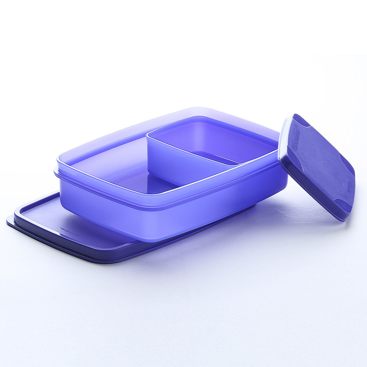 Compact Lunch Box (Small)