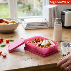 Compact Lunch Box (Small)