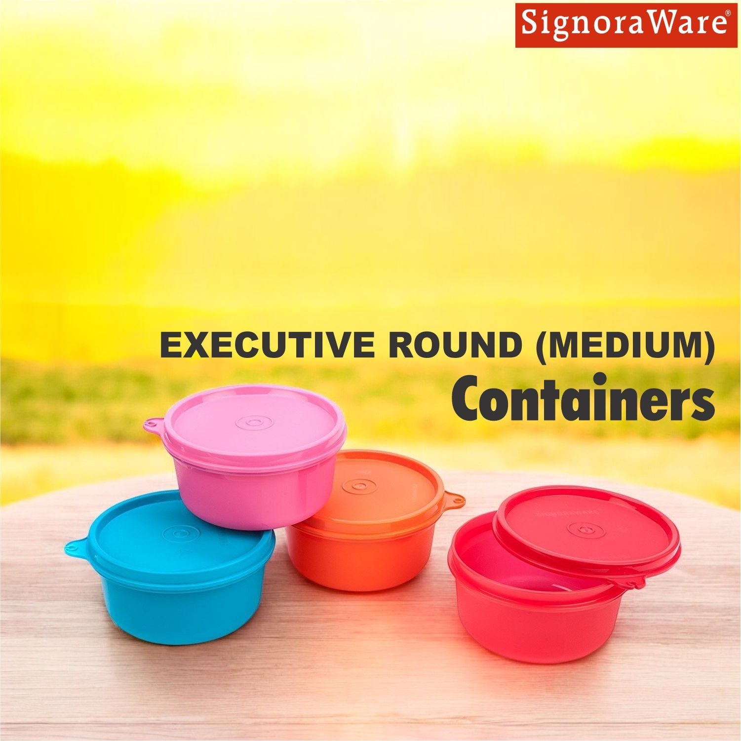 Executive Round Medium 310ml.