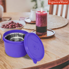 Executive Microsafe Steel Container (Big)