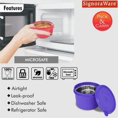 Executive Microsafe Steel Container (Big)