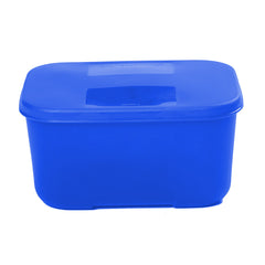 Icy Cool Container Big 700ml | BPA Free virgin plastic | Food Grade & Microsafe