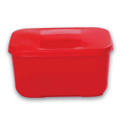 Icy Cool Container Big 700ml | BPA Free virgin plastic | Food Grade & Microsafe