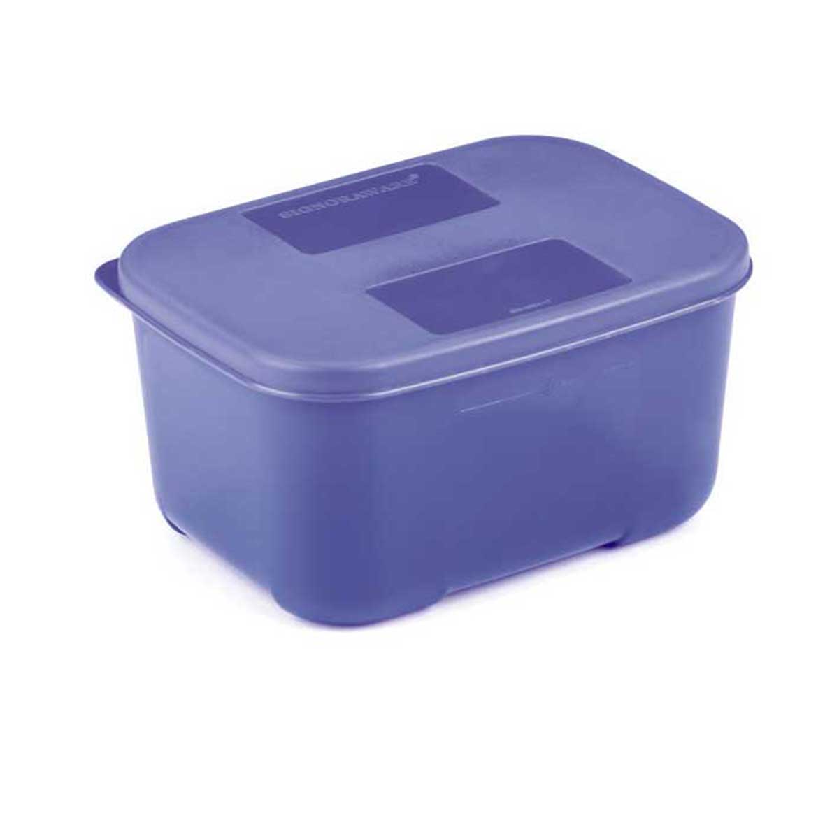 Icy Cool Container Big 700ml | BPA Free virgin plastic | Food Grade & Microsafe