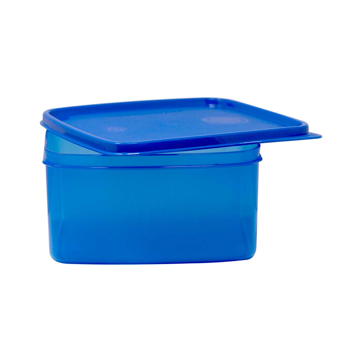 Fresh Container 1200 ml.
