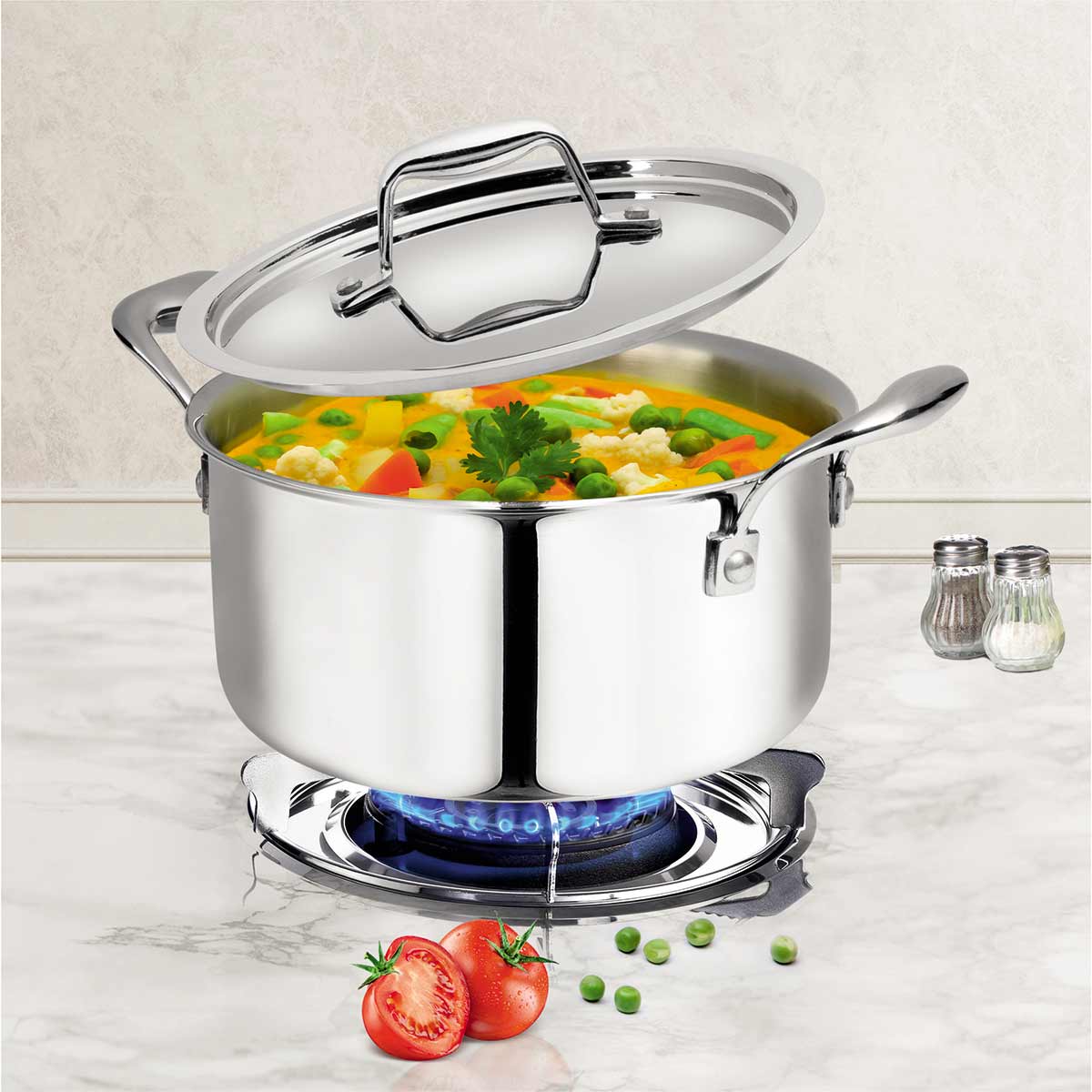 Artista Tri Ply Stewpot 26 cm, 6700ml with Lid | Cooking Pot 18/8 Food Grade Tri Ply Stainless Steel | Durable Soup Pot Stew Simmering Pot